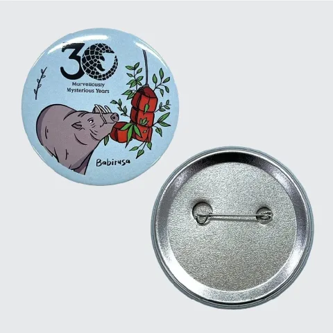 Buton Rozet — Yoyo Kartlık